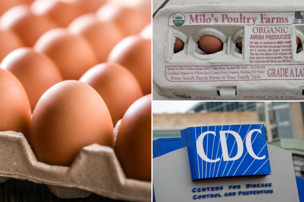 Eggs recalled after multistate salmonella outbreak